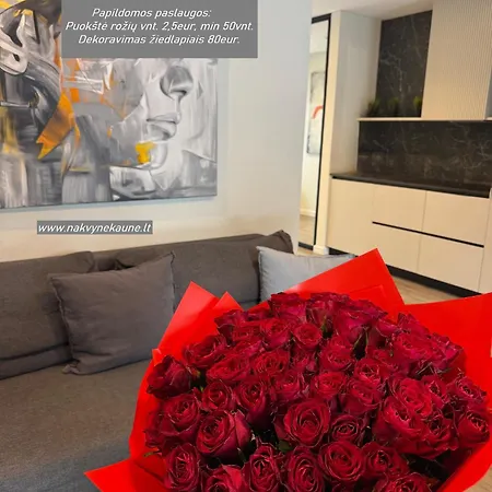 Jacuzzi Cinema Loft * 카우나스